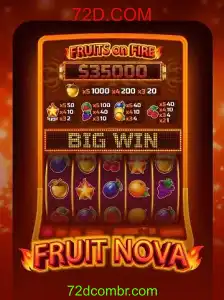 Explorando o Mundo Fascinante de FruitNova: Descrição e Regras do Jogo